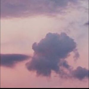 Meet your Posher, Melisa